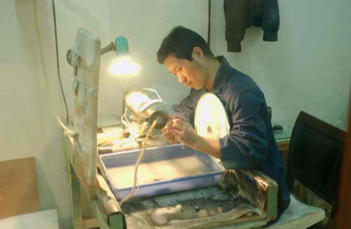 Picture